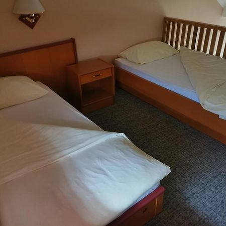 Hotel Delminium Илиджа Номер фото